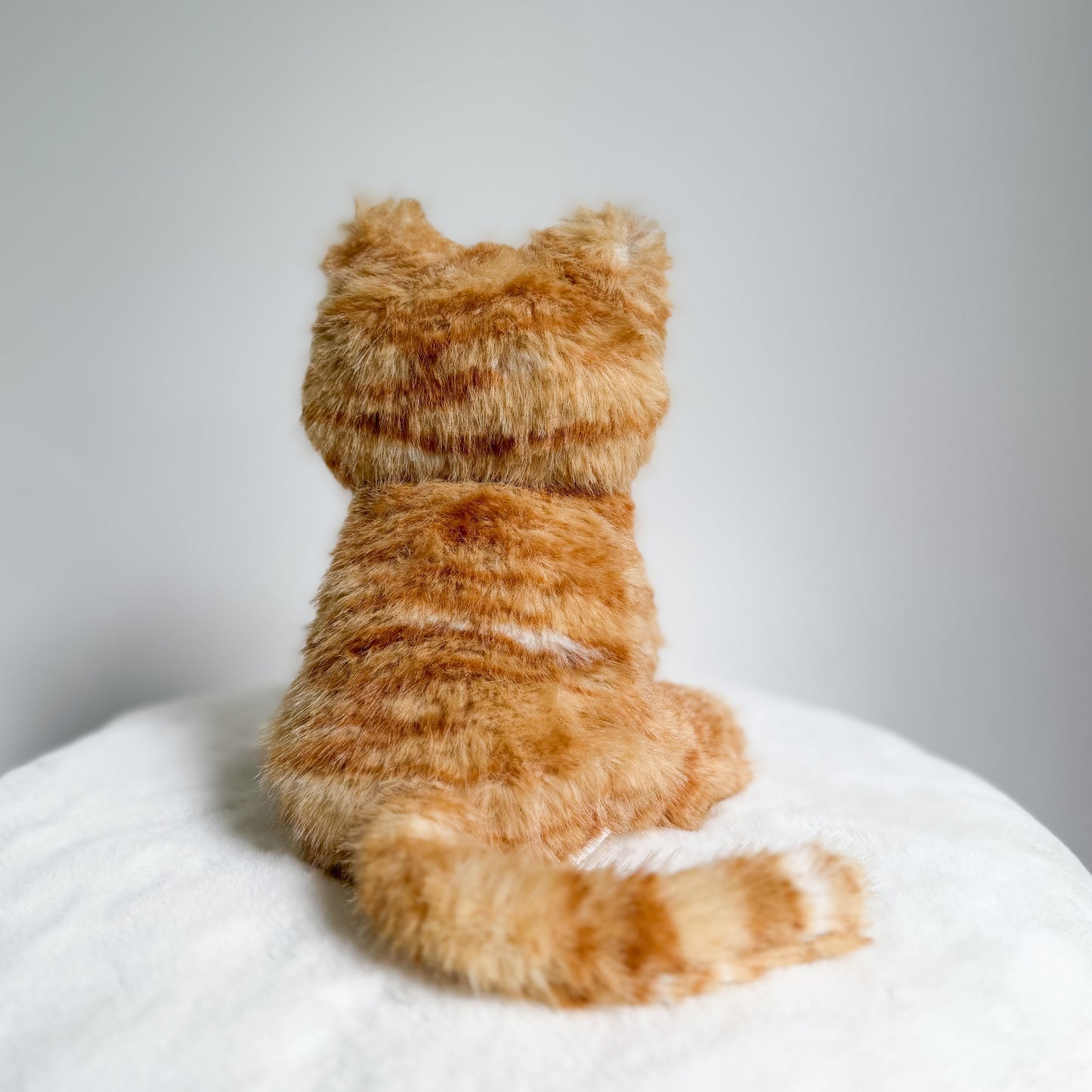 Sunni🐱☀️🧶