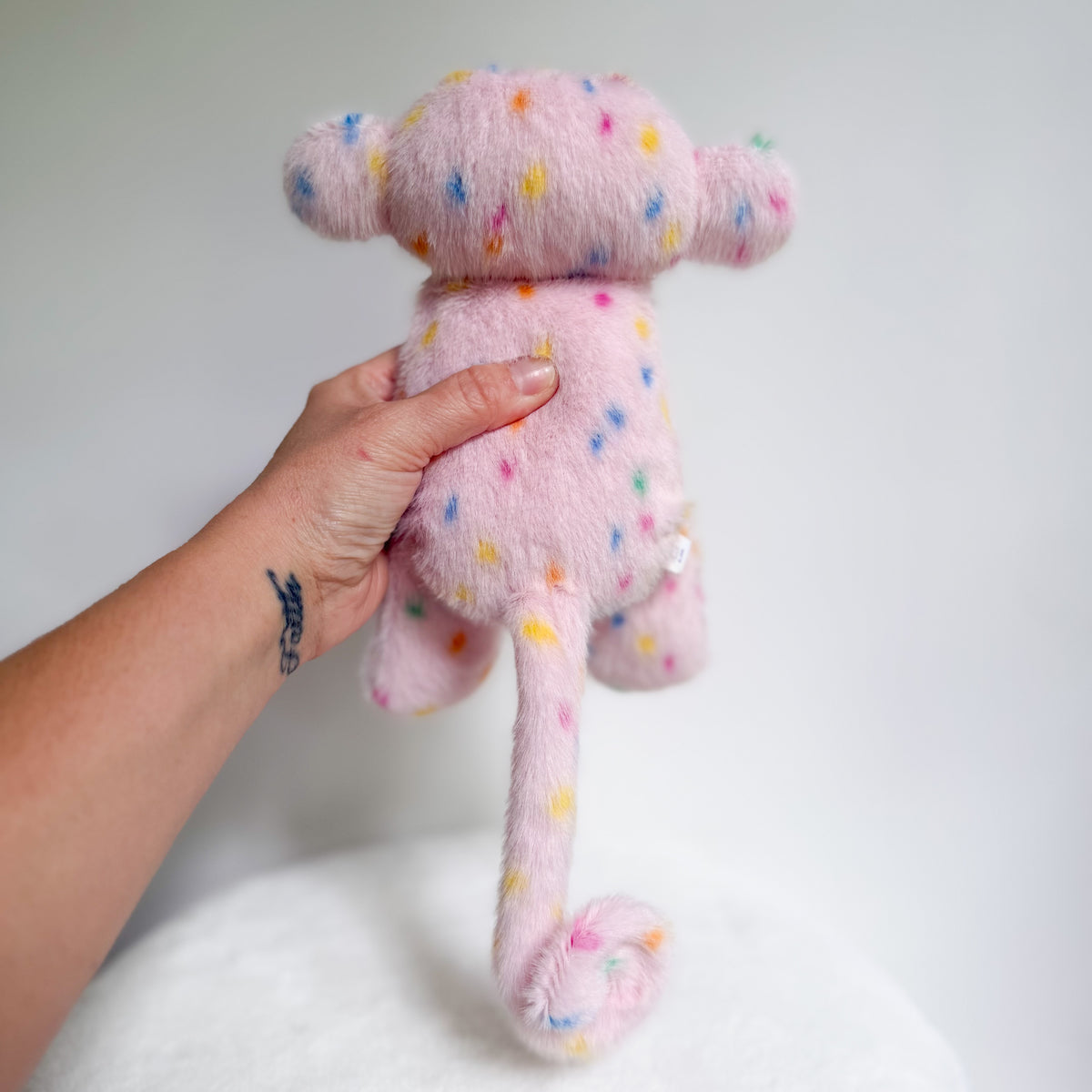 Tootsie🐒 (COMING SOON!)