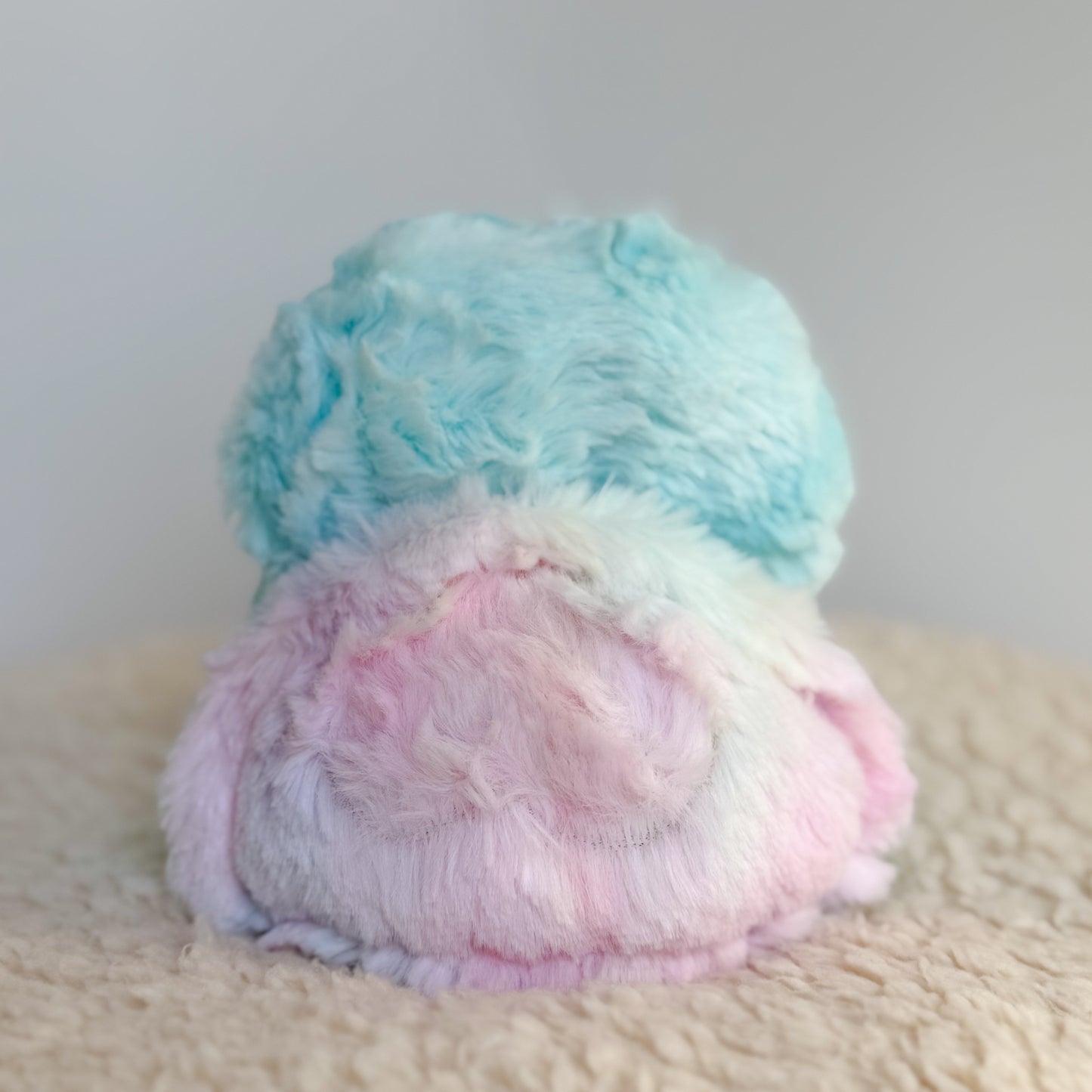 COMING SOON|Squirt🩵🐢