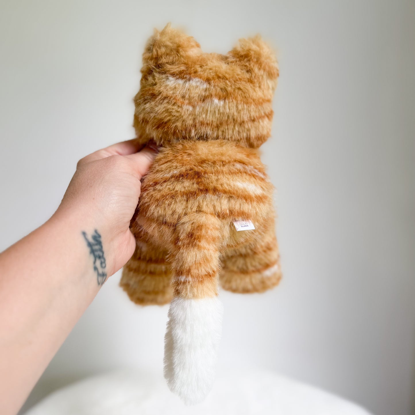 Pumpkin🐱🧶