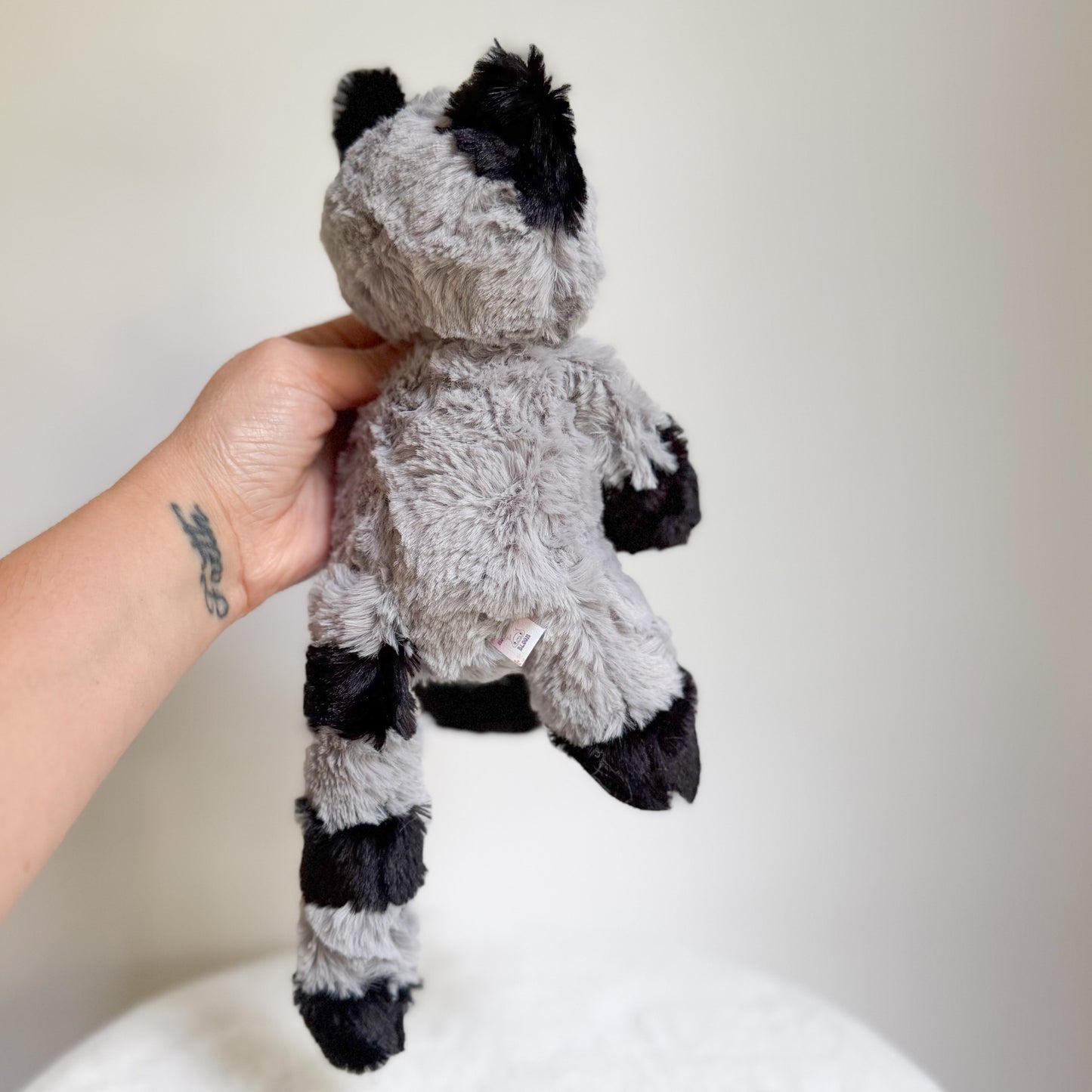 COMING SOON Meeko🦝