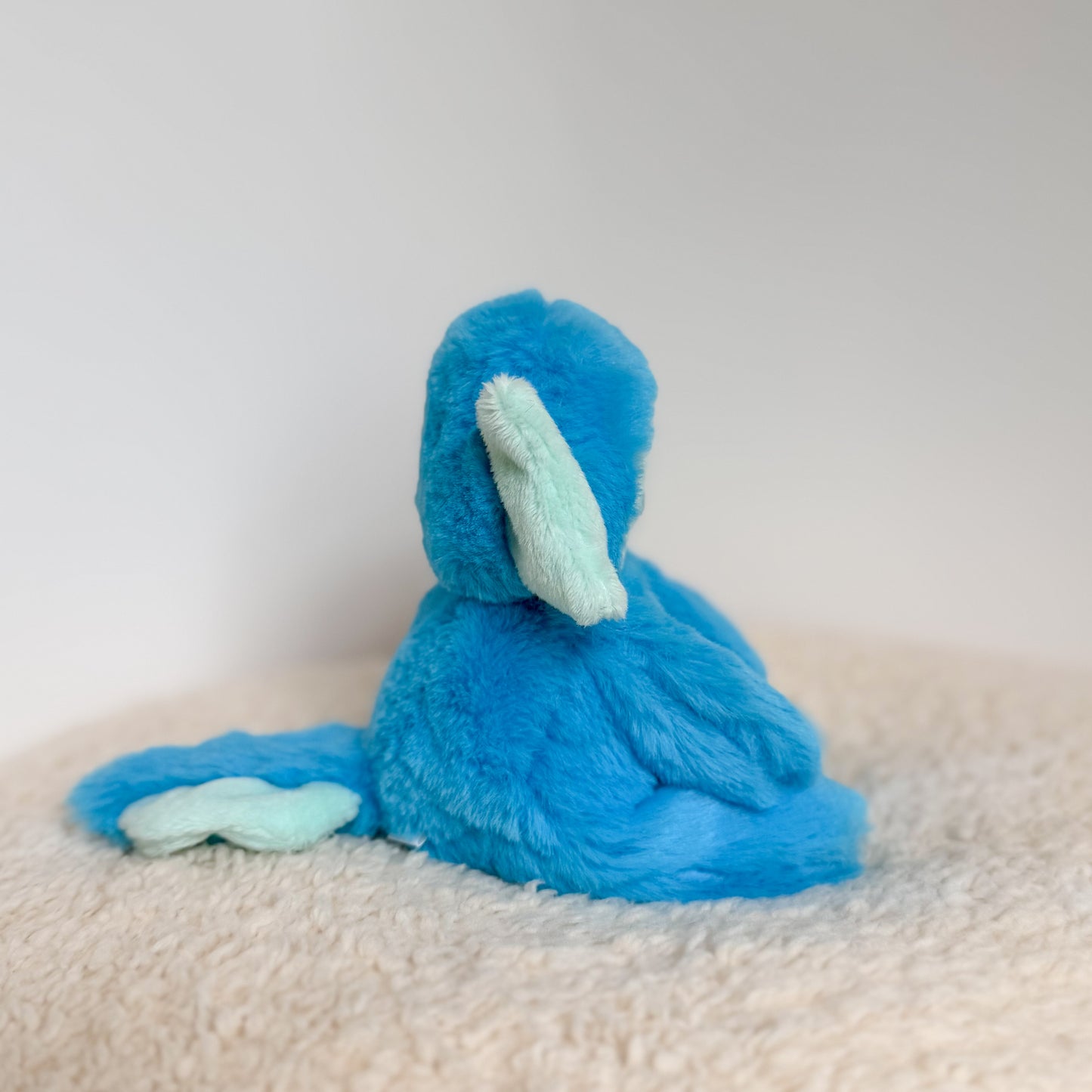 COMING SOON|Gizmo🩵