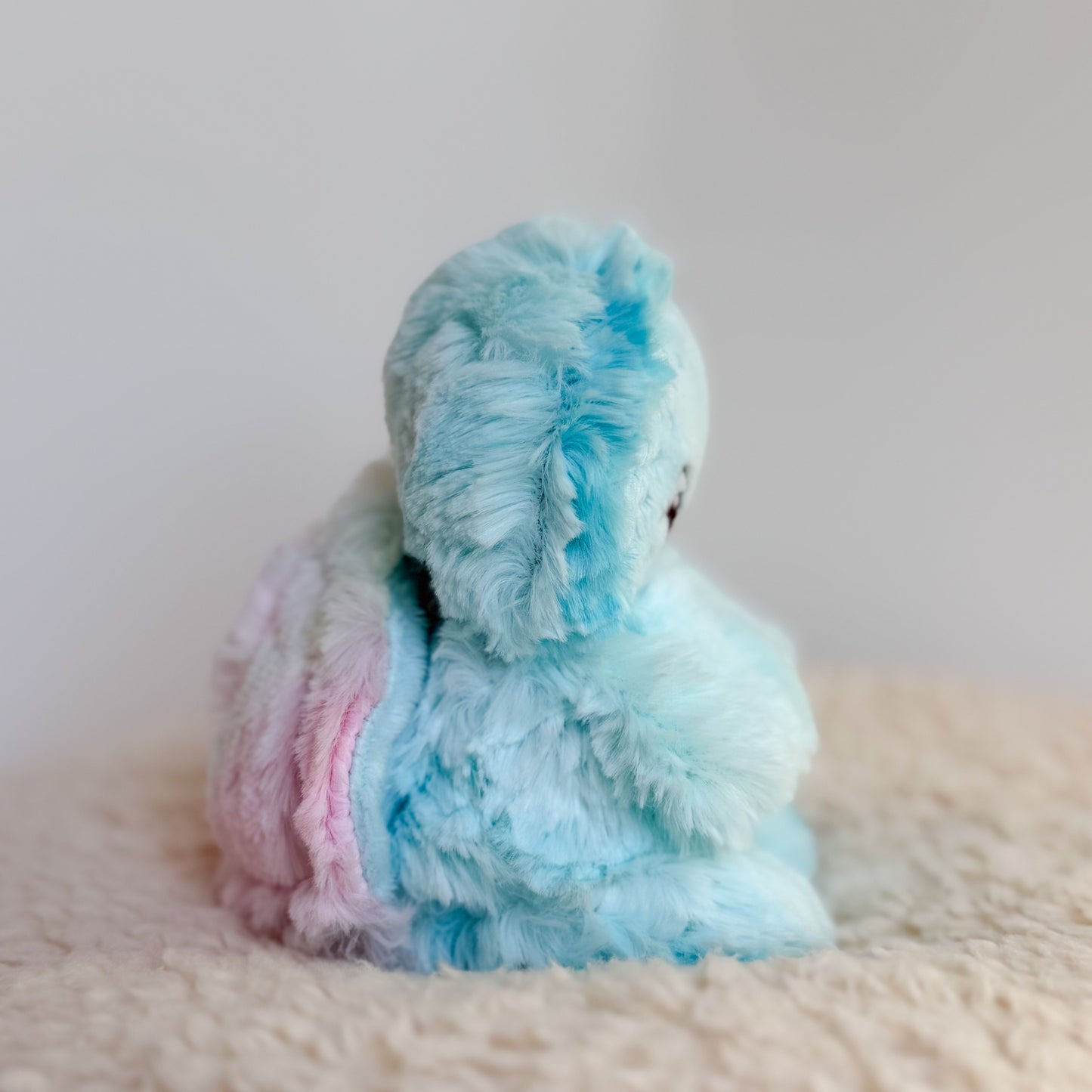 COMING SOON|Squirt🩵🐢