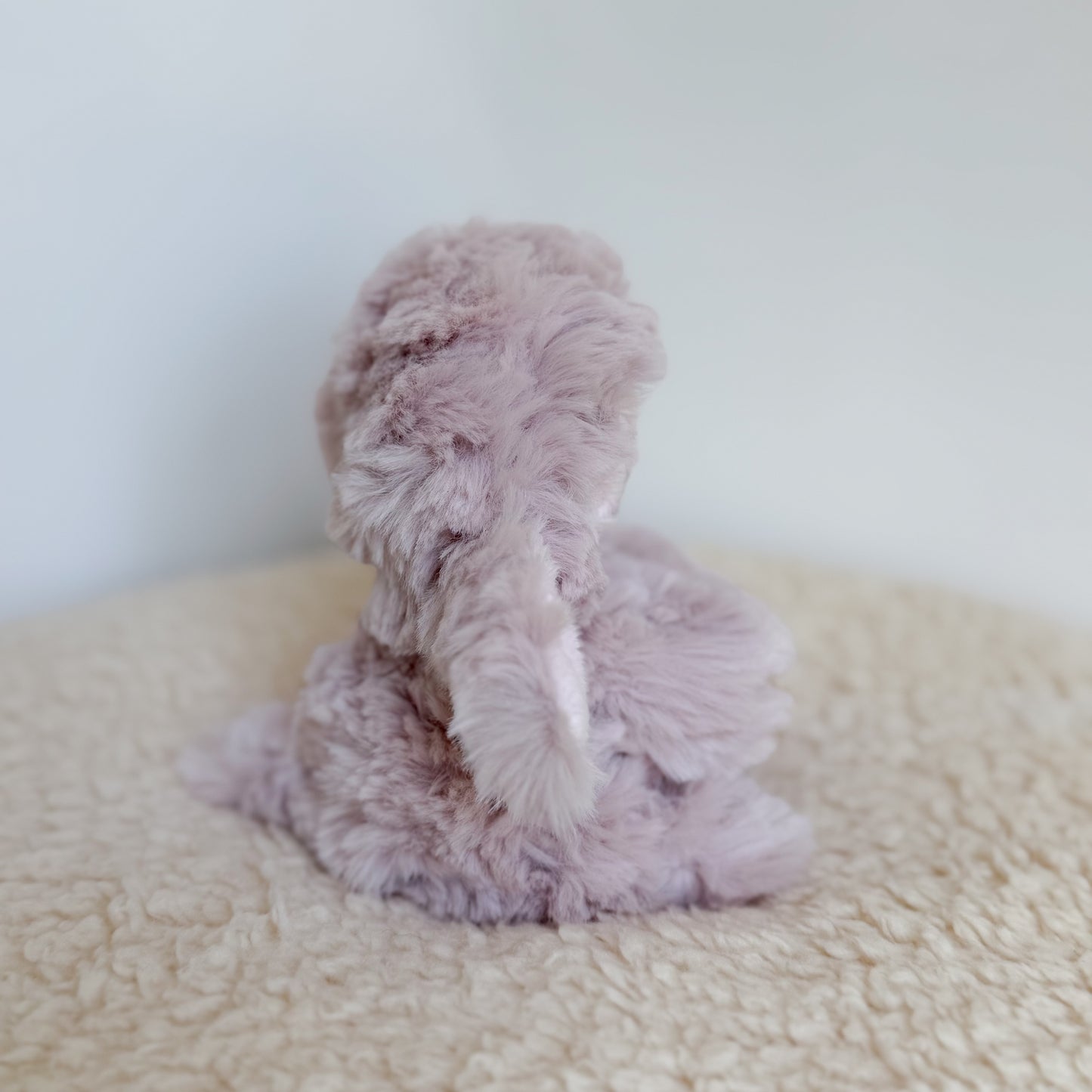 COMING SOON|Isabelle🐑🩷