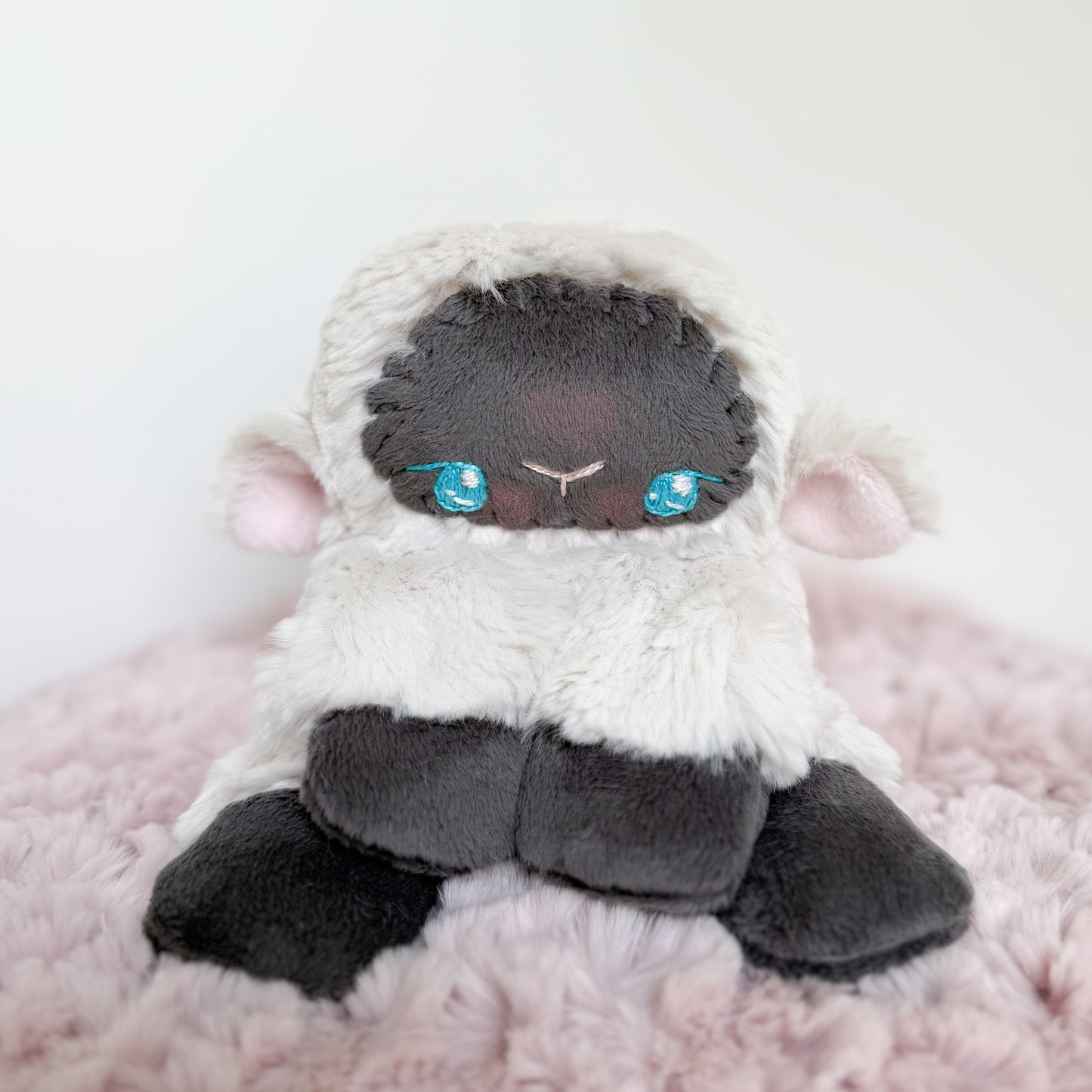 COMING SOON|Cotton🐑