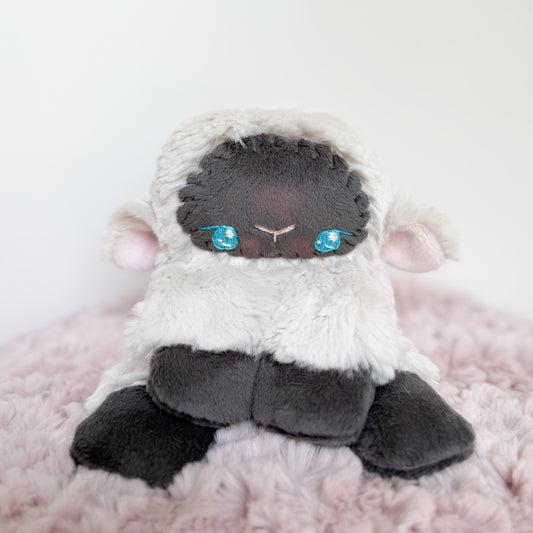 COMING SOON|Cotton🐑