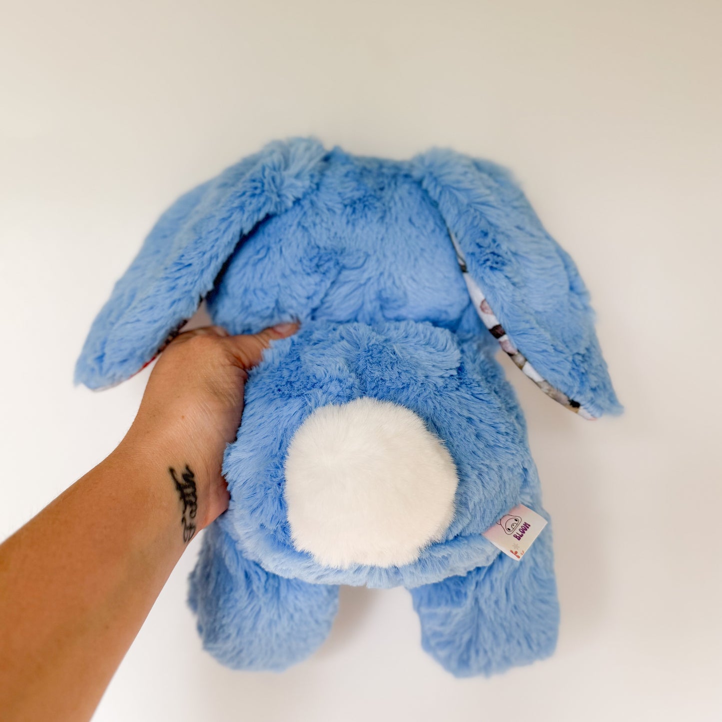 COMING SOON|Fifi🐇